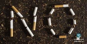Влияние никотина на организм человека: польза и вред